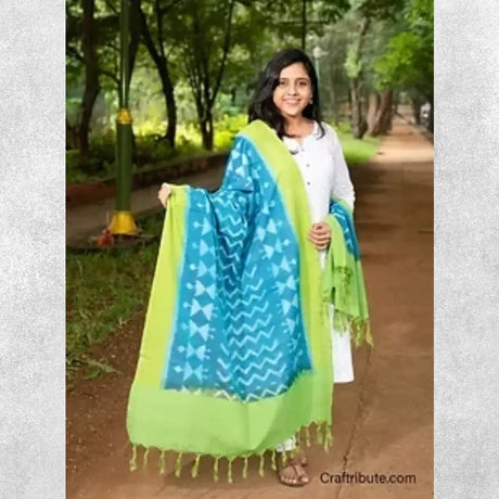 Pochampalli Patola (Double Ikat) Green Blue Warli Dupatta